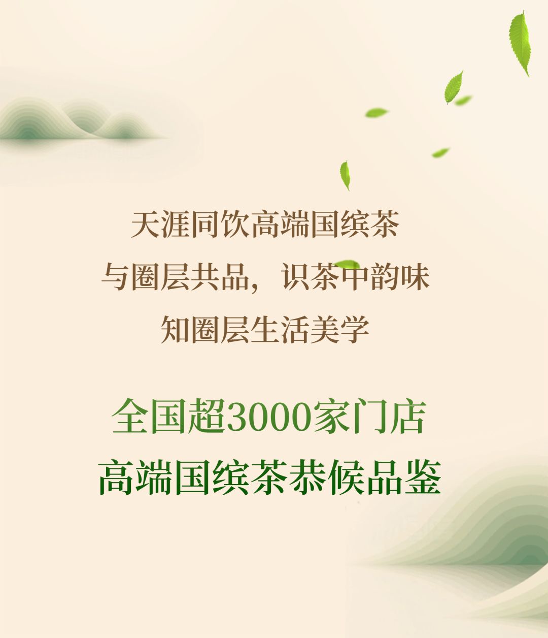 高端乌龙茶