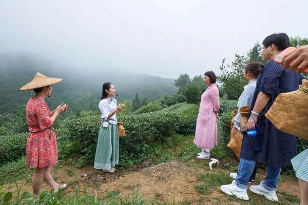 感受品质的力量 | 华祥苑春季招商会圆满落幕