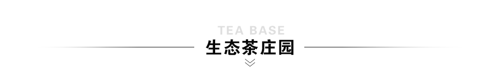 华祥苑茶叶国际招商加盟